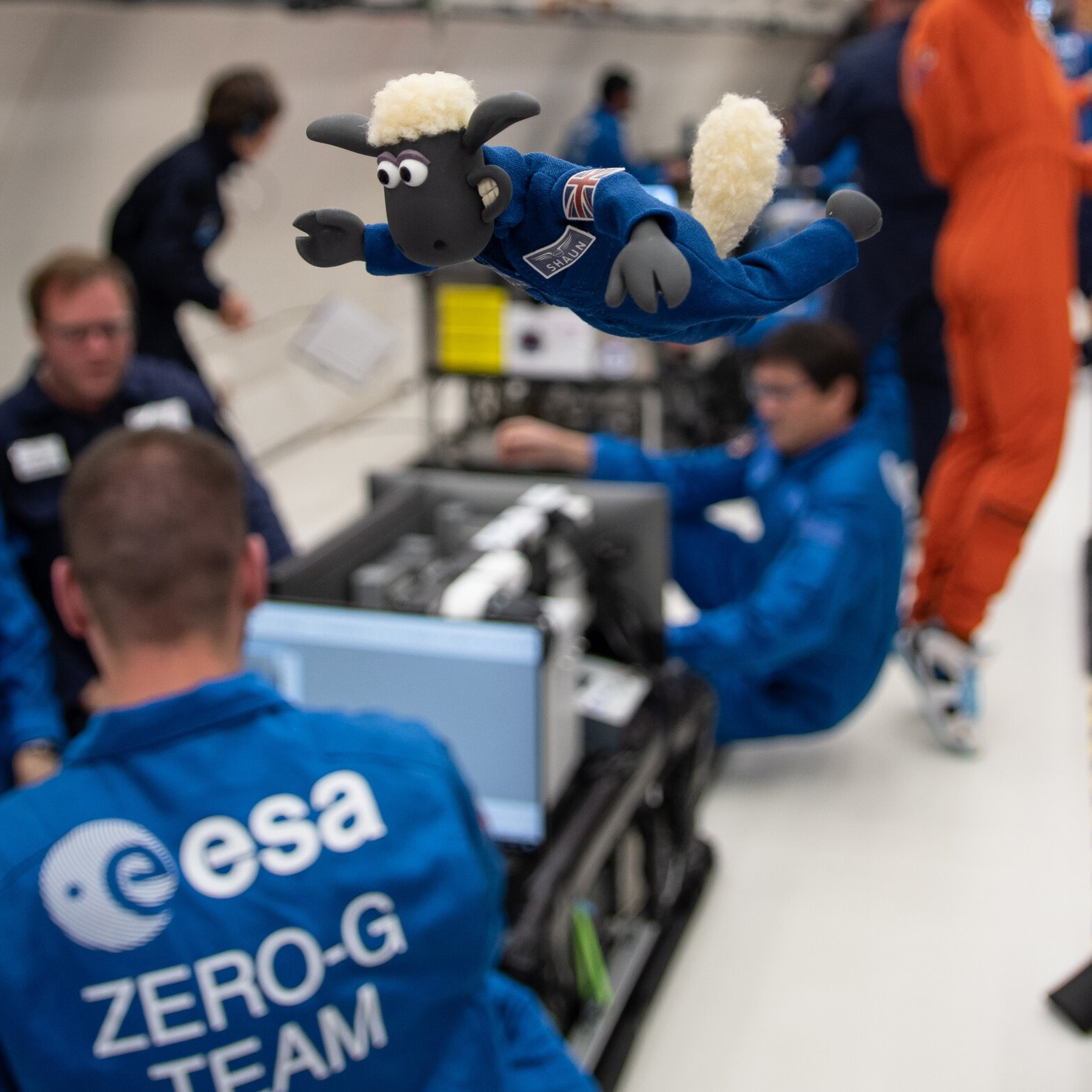 Shaun the Sheep experiencing microgravity on ESA parabolic flight pillars credits ESA/Aardman